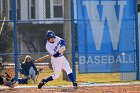 Baseball vs Brandeis  Wheaton College Baseball vs Brandeis University. - Photo By: KEITH NORDSTROM : Wheaton, Baseball